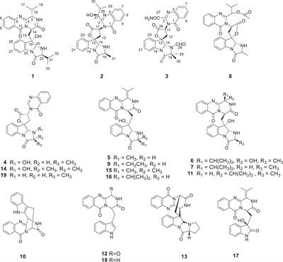 Three New Quinazoline-Containing Indole Alkaloids From the Marine-Derived Fungus Aspergillus sp. HNMF114